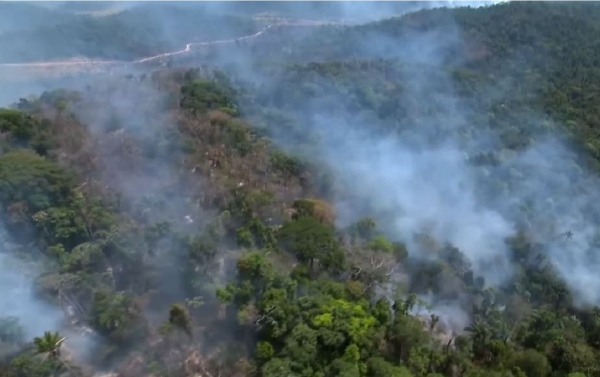 Queimadas na Amazônia seguem o rastro do desmatamento, diz Instituto