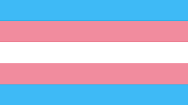 Dia Internacional da Visibilidade Trans é uma data de luta