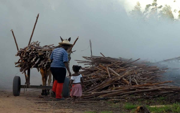 CUT lança campanha pelo fim do trabalho infantil