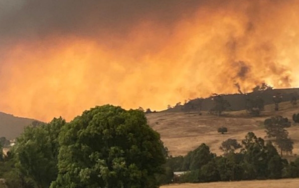 Incêndios florestais: ‘Brasil pode ser a Austrália amanhã’, alerta especialista