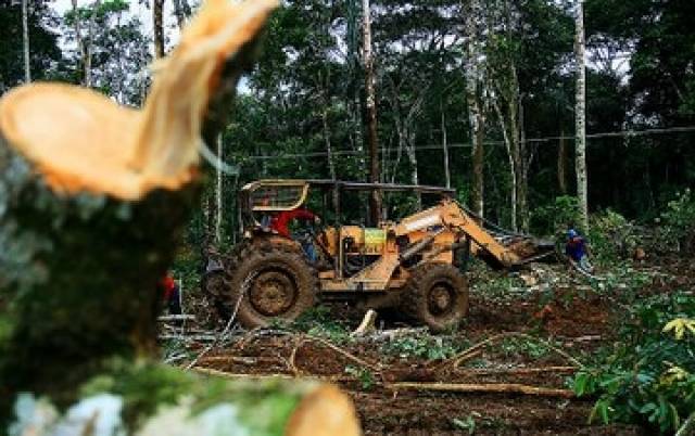 Na área ambiental, o Brasil andou para trás. E ainda pode piorar