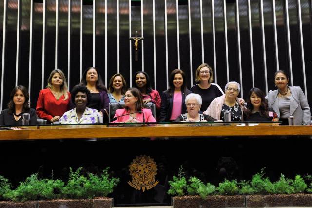 A sub-representação feminina no Congresso brasileiro agrava desigualdade de gênero no país