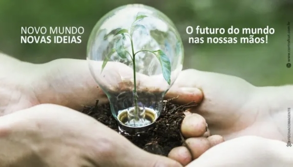 Dia Mundial do Meio Ambiente: um chamado urgente à ação coletiva pelo planeta