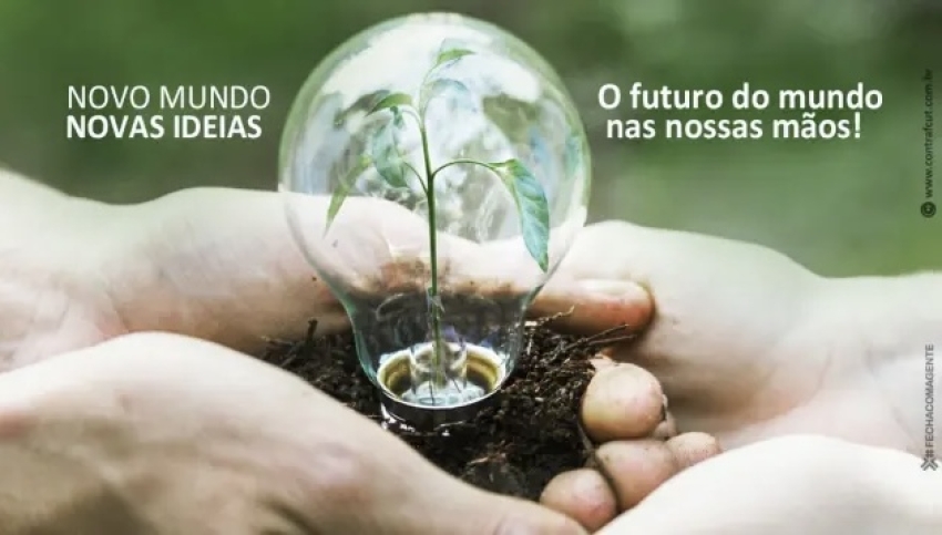 Dia Mundial do Meio Ambiente: um chamado urgente à ação coletiva pelo planeta